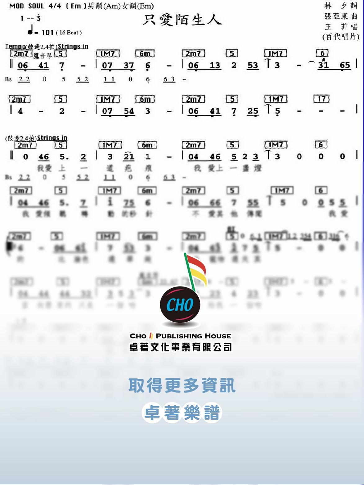 只愛陌生人